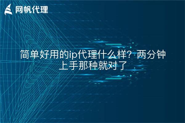 简单好用的ip代理什么样?两分钟上手那种就对了