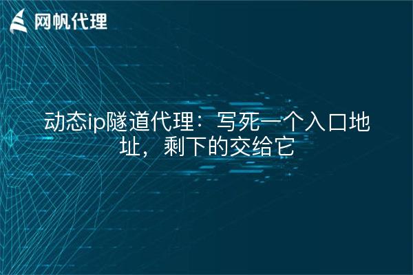 动态ip隧道代理:写死一个入口地址,剩下的交给它