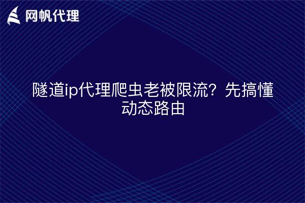 隧道ip代理爬虫老被限流?先搞懂动态路由