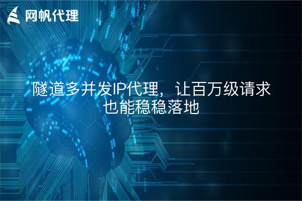 隧道多并发IP代理,让百万级请求也能稳稳落地