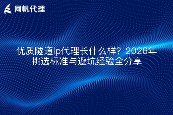 优质隧道ip代理长什么样?2026年挑选标准与避坑经验全分享