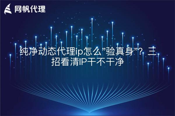 纯净动态代理ip怎么"验真身"?三招看清IP干不干净