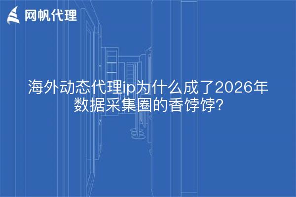海外动态代理ip为什么成了2026年数据采集圈的香饽饽?