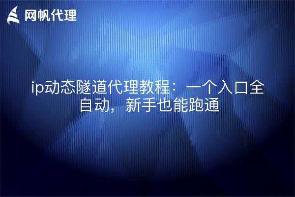 ip动态隧道代理教程：一个入口全自动，新手也能跑通