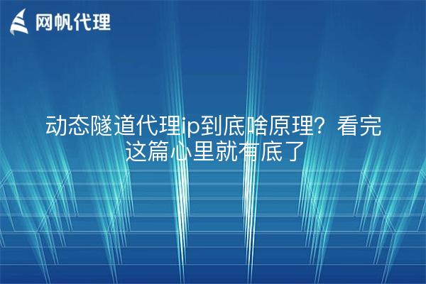 动态隧道代理ip到底啥原理？看完这篇心里就有底了