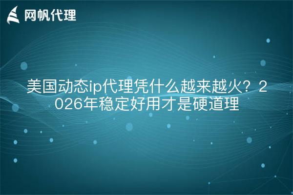 美国动态ip代理凭什么越来越火？2026年稳定好用才是硬道理
