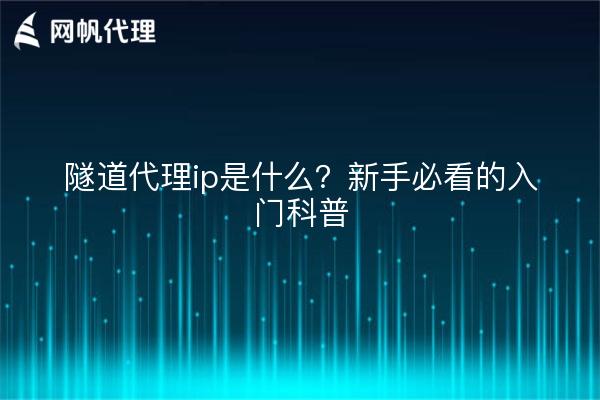 隧道代理ip是什么?新手必看的入门科普