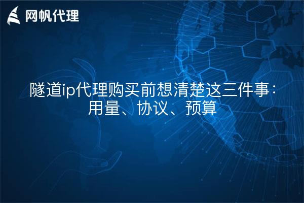 隧道ip代理购买前想清楚这三件事:用量、协议、预算