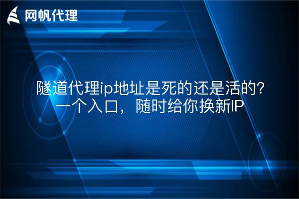隧道代理ip地址是死的还是活的？一个入口，随时给你换新IP