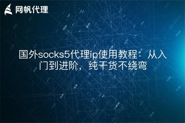 国外socks5代理ip使用教程:从入门到进阶,纯干货不绕弯