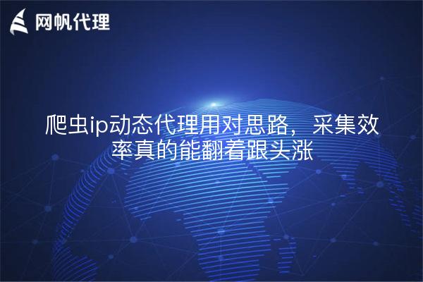 爬虫ip动态代理用对思路，采集效率真的能翻着跟头涨