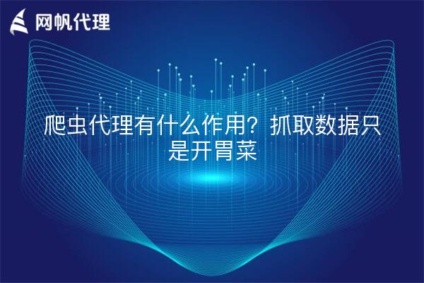 爬虫代理有什么作用?抓取数据只是开胃菜