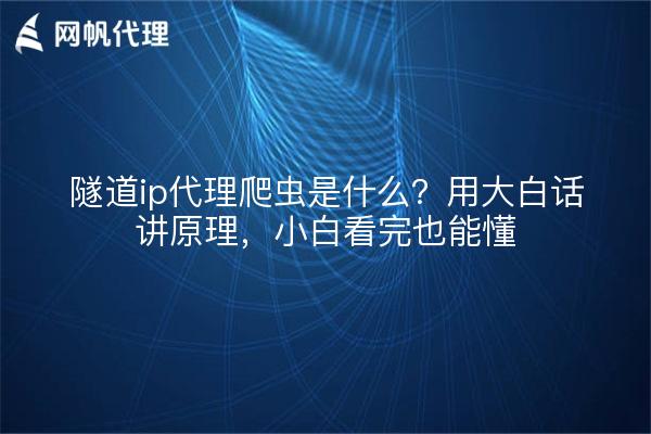 隧道ip代理爬虫是什么？用大白话讲原理，小白看完也能懂