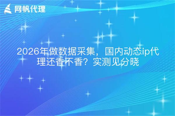 2026年做数据采集，国内动态ip代理还香不香？实测见分晓