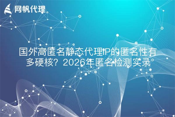 国外高匿名静态代理IP的匿名性有多硬核?2026年匿名检测实录