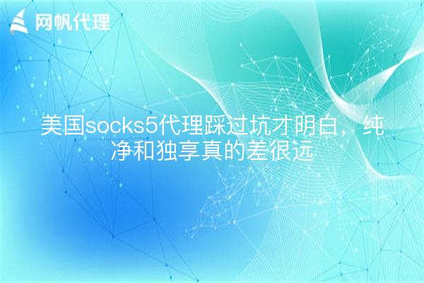 美国socks5代理踩过坑才明白,纯净和独享真的差很远
