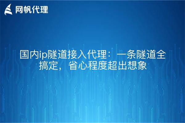 国内ip隧道接入代理：一条隧道全搞定，省心程度超出想象