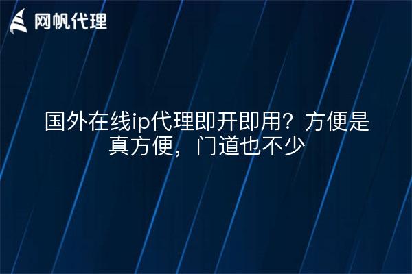国外在线ip代理即开即用？方便是真方便，门道也不少