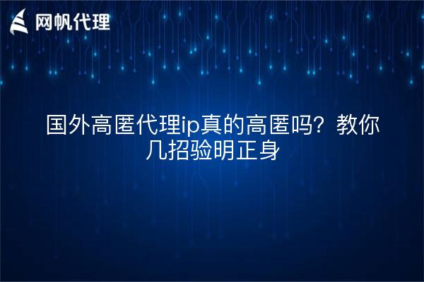 国外高匿代理ip真的高匿吗？教你几招验明正身