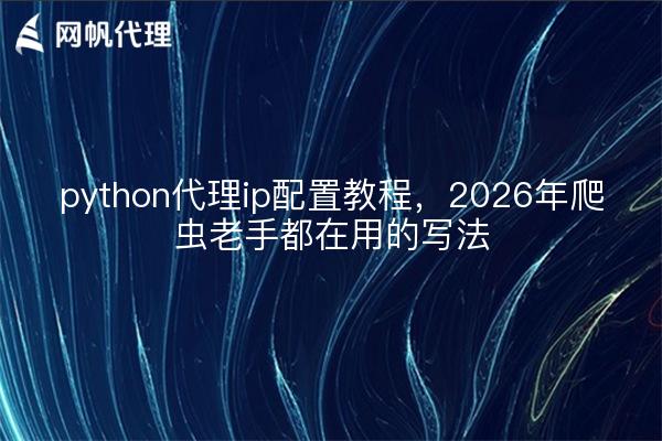 python代理ip配置教程，2026年爬虫老手都在用的写法