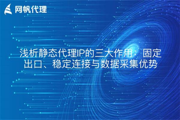 浅析静态代理IP的三大作用：固定出口、稳定连接与数据采集优势
