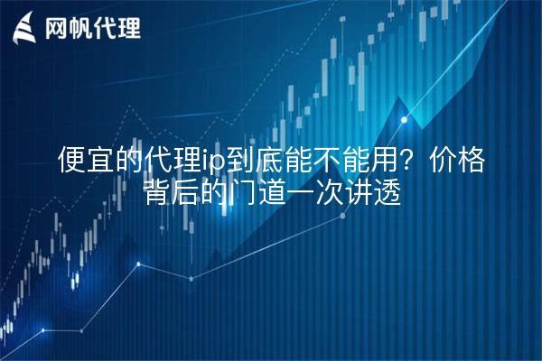 便宜的代理ip到底能不能用？价格背后的门道一次讲透