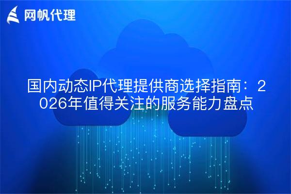 国内动态IP代理提供商选择指南：2026年值得关注的服务能力盘点