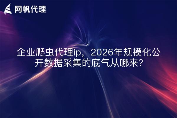企业爬虫代理ip,2026年规模化公开数据采集的底气从哪来?