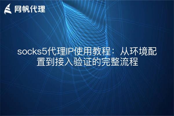 socks5代理IP使用教程：从环境配置到接入验证的完整流程