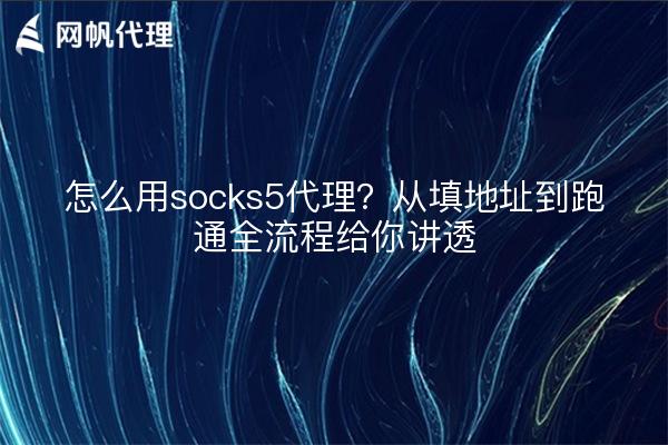 怎么用socks5代理？从填地址到跑通全流程给你讲透