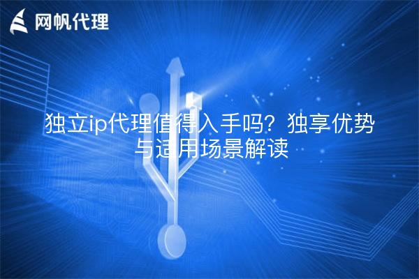 独立ip代理值得入手吗?独享优势与适用场景解读