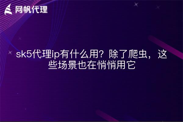 sk5代理ip有什么用？除了爬虫，这些场景也在悄悄用它
