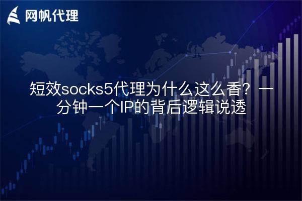 短效socks5代理为什么这么香？一分钟一个IP的背后逻辑说透