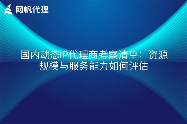 国内动态IP代理商考察清单：资源规模与服务能力如何评估