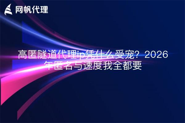 高匿隧道代理ip凭什么受宠？2026年匿名与速度我全都要