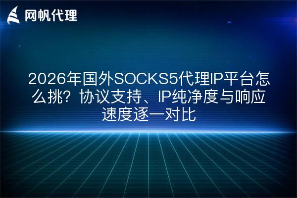 2026年国外SOCKS5代理IP平台怎么挑？协议支持、IP纯净度与响应速度逐一对比