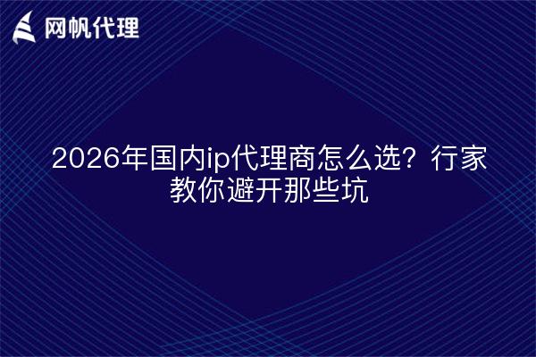 2026年国内ip代理商怎么选?行家教你避开那些坑