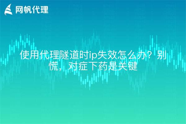 使用代理隧道时ip失效怎么办？别慌，对症下药是关键