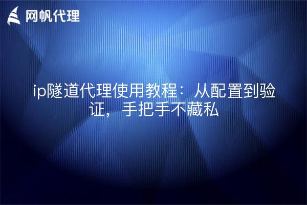 ip隧道代理使用教程:从配置到验证,手把手不藏私