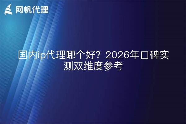 国内ip代理哪个好?2026年口碑实测双维度参考
