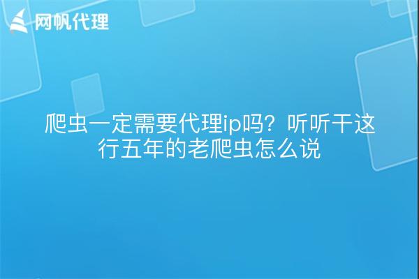 爬虫一定需要代理ip吗？听听干这行五年的老爬虫怎么说