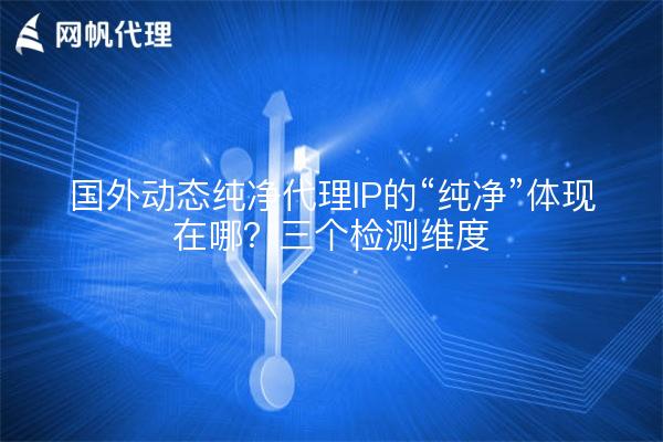 国外动态纯净代理IP的“纯净”体现在哪？三个检测维度