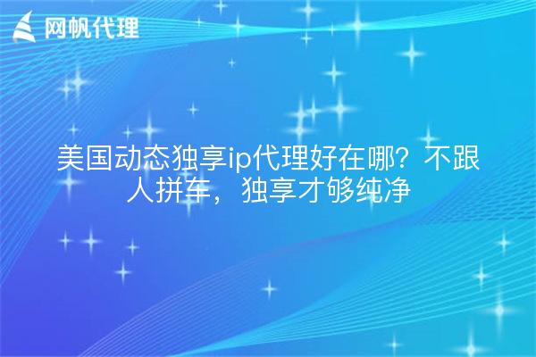 美国动态独享ip代理好在哪？不跟人拼车，独享才够纯净