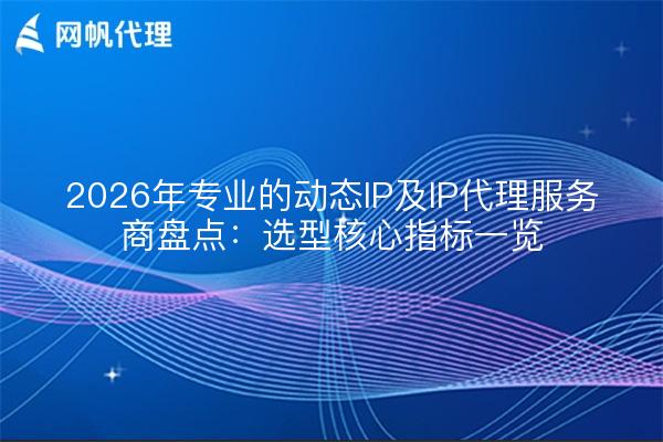 2026年专业的动态IP及IP代理服务商盘点：选型核心指标一览