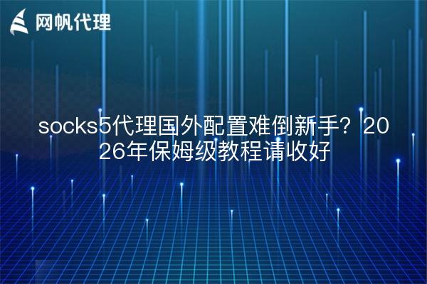 socks5代理国外配置难倒新手？2026年保姆级教程请收好