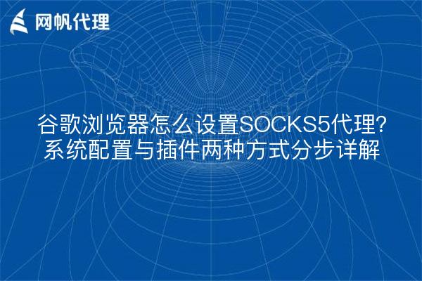 谷歌浏览器怎么设置SOCKS5代理？系统配置与插件两种方式分步详解