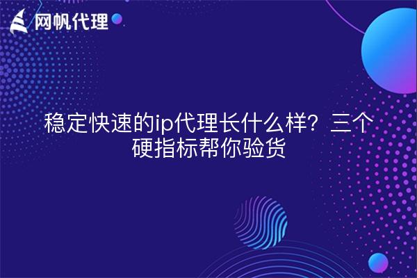 稳定快速的ip代理长什么样？三个硬指标帮你验货