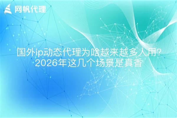 国外ip动态代理为啥越来越多人用?2026年这几个场景是真香