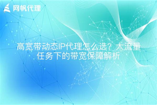 高宽带动态IP代理怎么选?大流量任务下的带宽保障解析