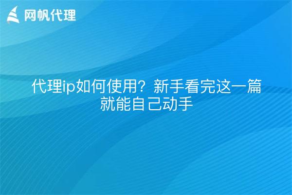 代理ip如何使用?新手看完这一篇就能自己动手
